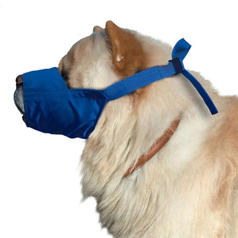 Short snout dog muzzle by Four Flags